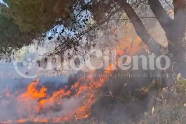 Palinuro, incendio