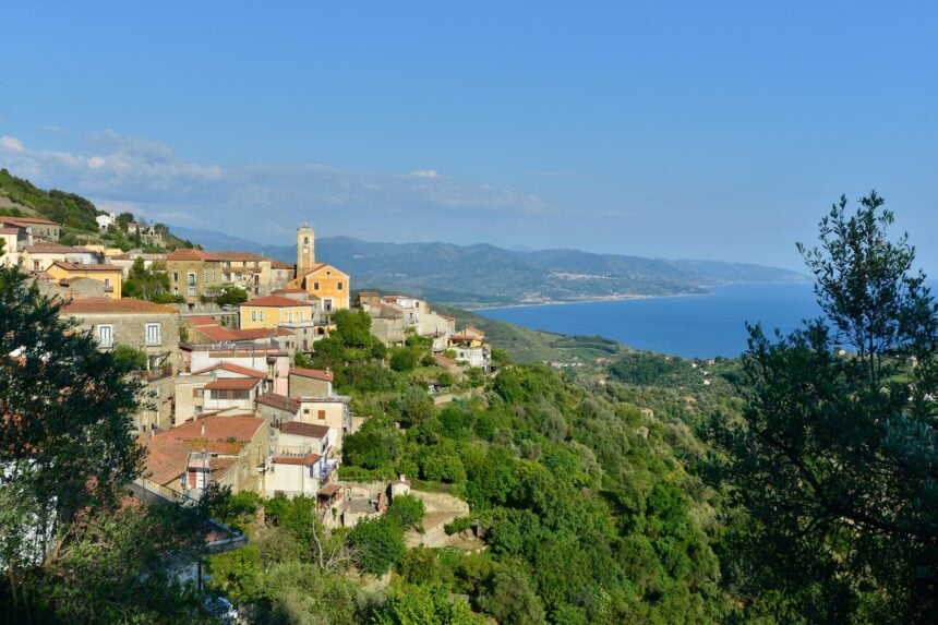 Pollica
