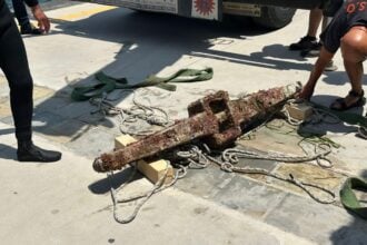 Pollica, ceppo epoca romana