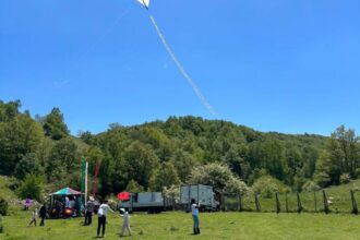 Sassano Valle Orchidee