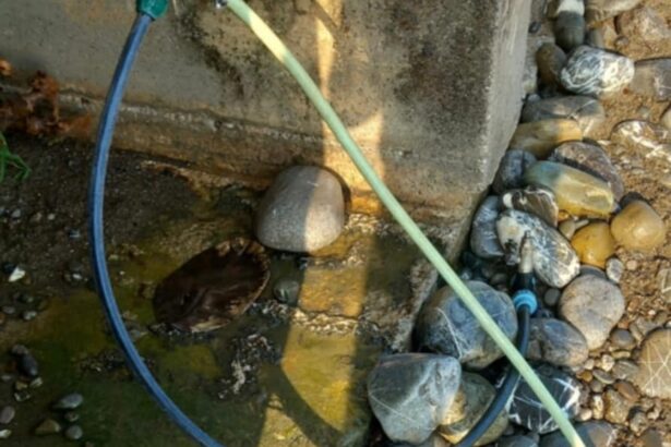 Vibonati, tubi in strada