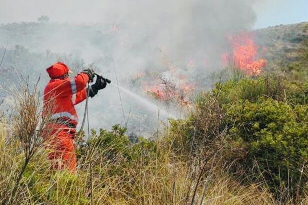 Incendio boschivo