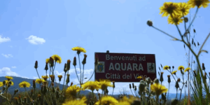 Aquara