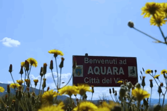 Aquara