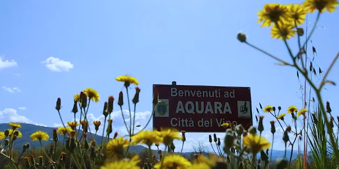 Aquara