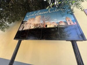 Castelnuovo, vandalizzata tabella Via Silente