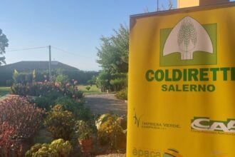Coldiretti Salerno