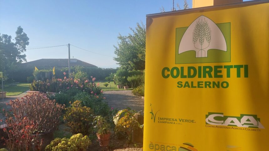 Coldiretti Salerno