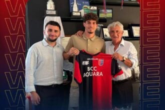 Diego Polverino, Gelbison