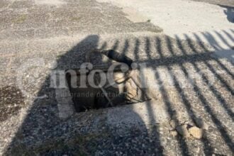 Eboli, furto rame PalaSele