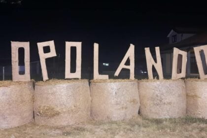 Popolando, festival