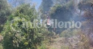 Incendio Ispani