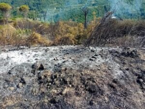 Omignano, incendio località Coste