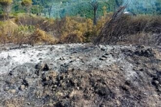 Omignano, incendio località Coste