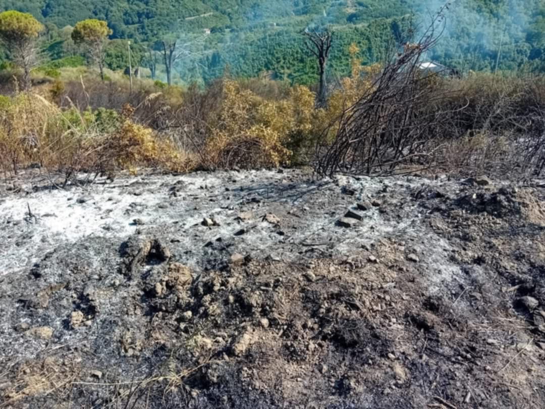 Omignano, incendio località Coste