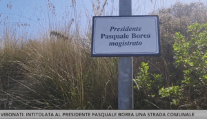 Vibonati, Pasquale Borea