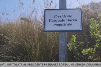 Vibonati, Pasquale Borea