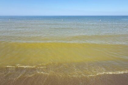 Mare Capaccio