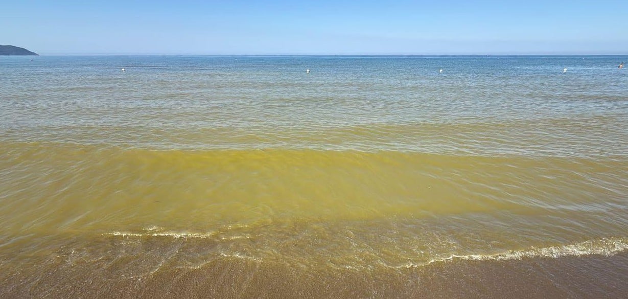Mare Capaccio