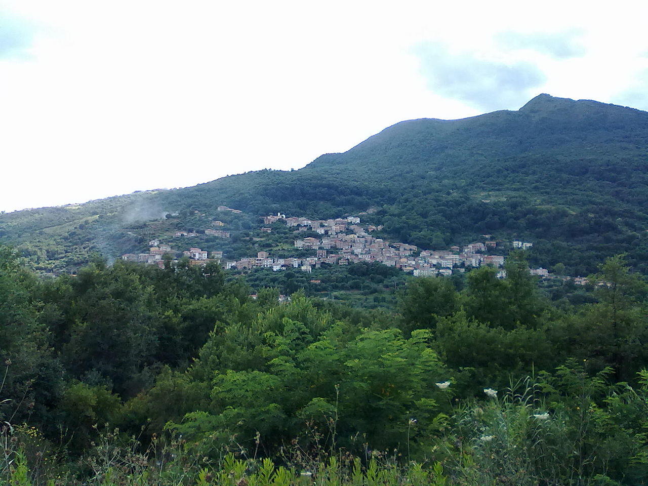 Alfano Panorama