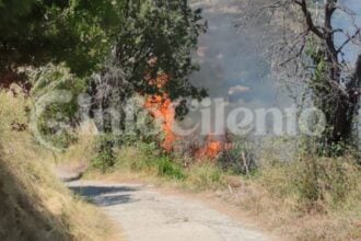 Ascea, incendio