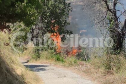 Ascea, incendio