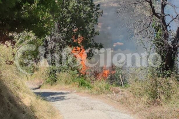 Ascea, incendio