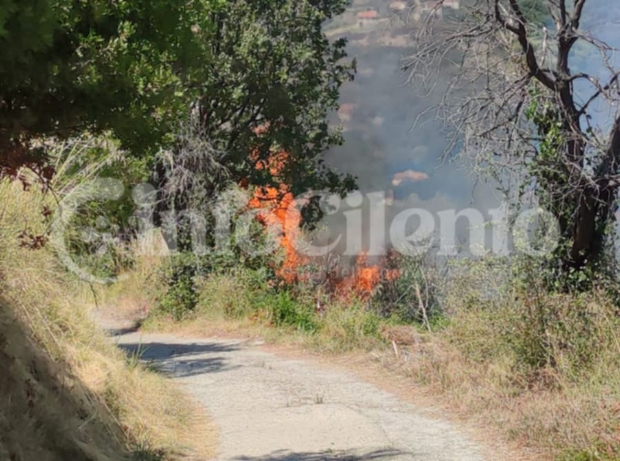 Ascea, incendio