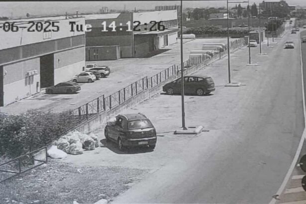 Battipaglia, immagini fototrappole