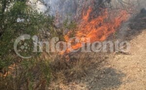 Centola, incendio
