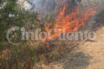 Centola, incendio