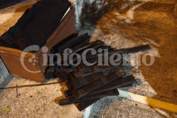 Eboli, atto vandalico gattapone aps