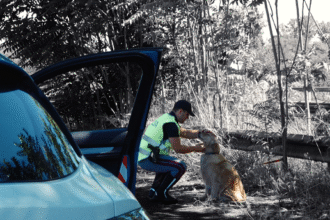 Estate in sicurezza Polizia
