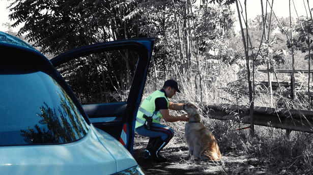 Estate in sicurezza Polizia