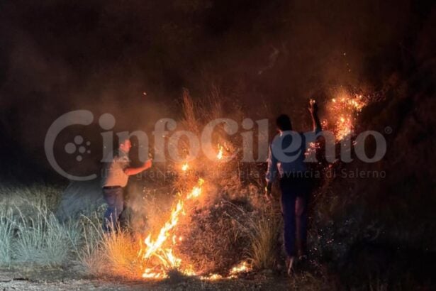 Incendio Castelcivita-Ottati