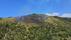 Ascea incendi