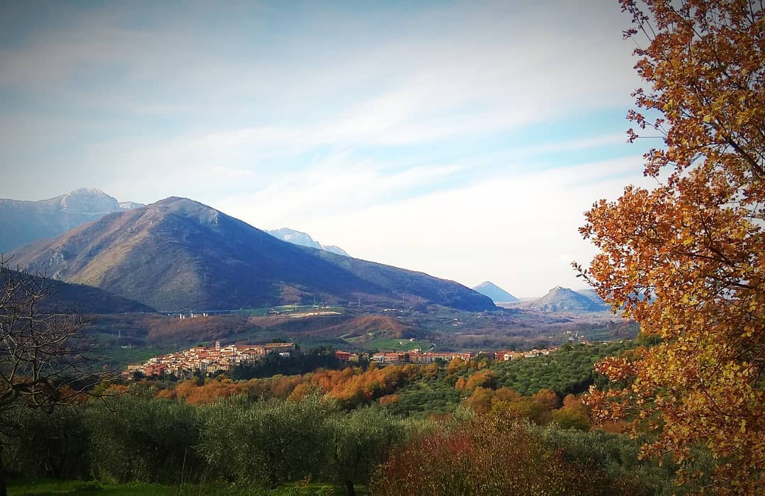 Auletta