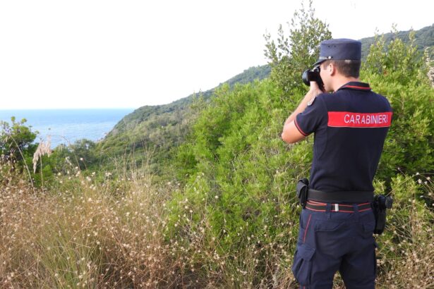 Carabinieri forestali