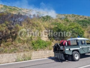 Incendio Agnone Cilento