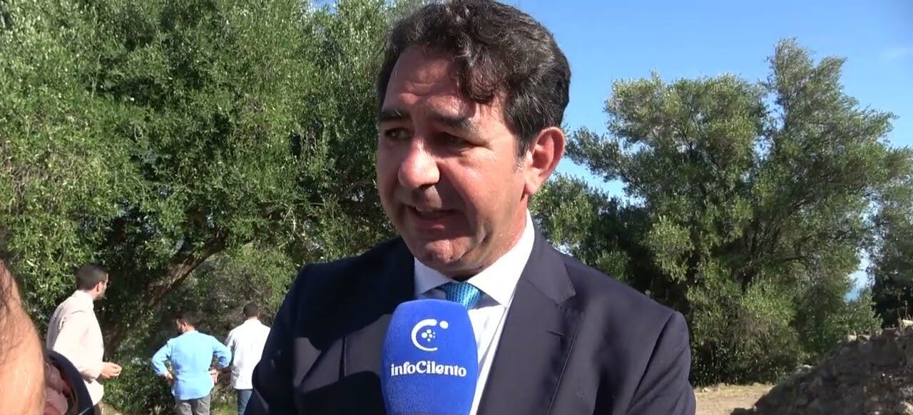 Ferdinando Palazzo