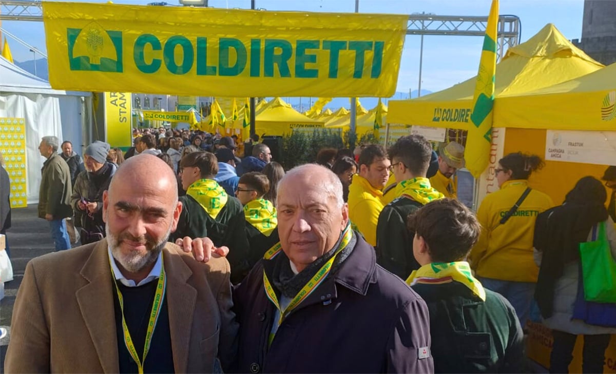 Ettore Bellelli