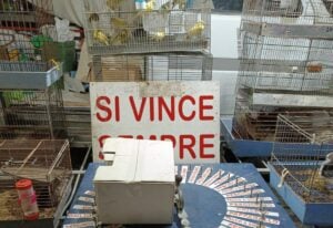 Oliveto Citra, sequestro