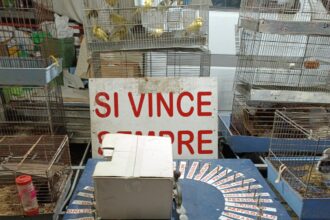 Oliveto Citra, sequestro