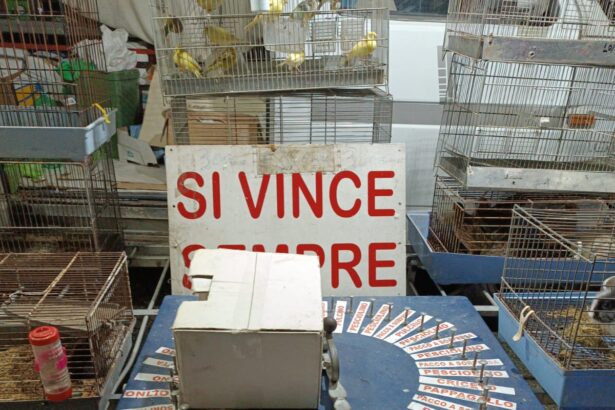 Oliveto Citra, sequestro