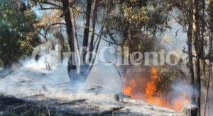 Scario, incendio