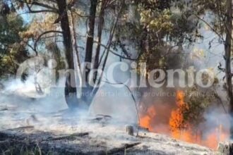 Scario, incendio