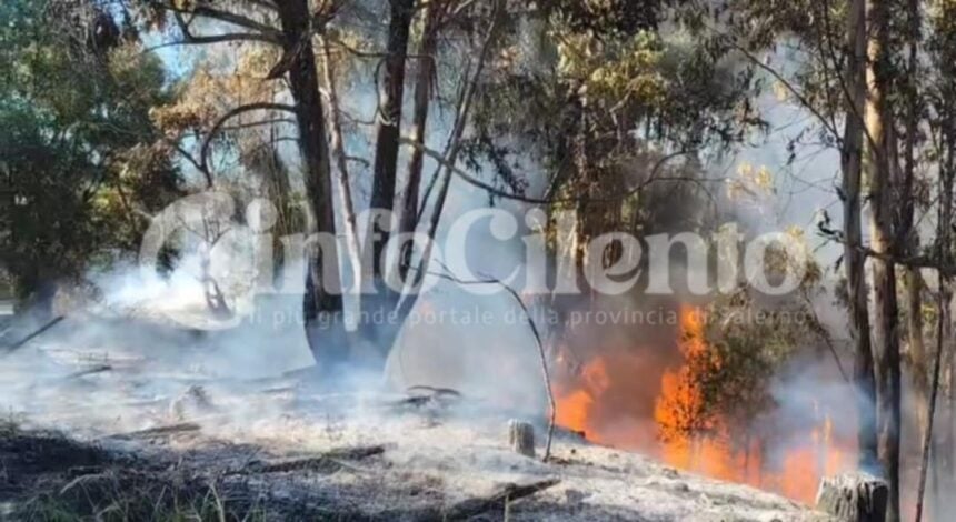 Scario, incendio