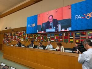 Stefano Pisani, Fao