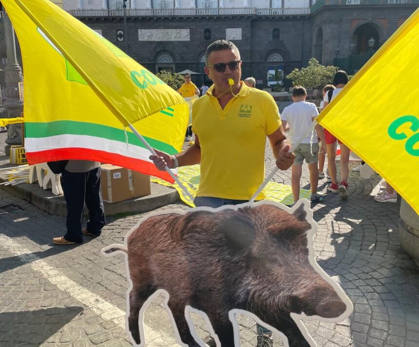 Vincenzo Trpiano, Coldiretti