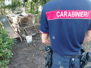 Bracconaggio